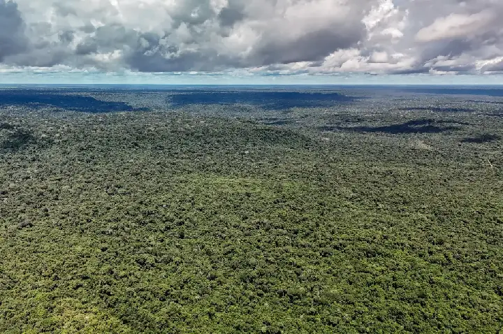 Fazenda autoriza crédito de US$ 1 bilhão do BID para Eco Invest Brasil