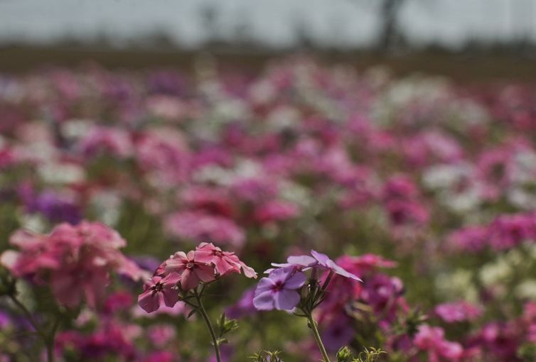 Primavera começa com chegada de frente fria, temporais e fortes ventos