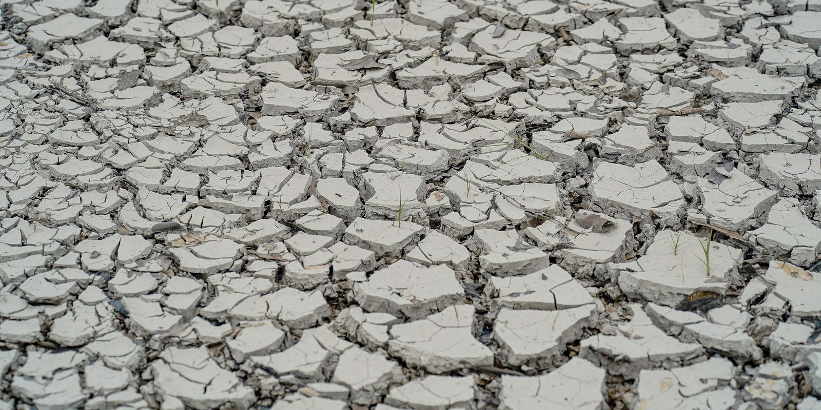 Estiagem: quinze cidades têm situação de emergência decretada